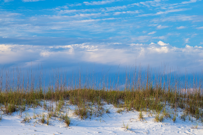 Beach;Biophilic;Calm;Cloud;Cloud Formation;Clouds;Coast;Coastline;Concepts;Dunes;Florida;Healing;Health care;Healthcare;Horizon;Minimalism;Nature;Ocean;Oneness;Pastel;Pastoral;Pink;Sand;Sand Dune;Santa Rosa Beach;Sea;Sea Oats;Seascape;Sundown;Sunset;Twilight;United States;Waterscape;Waves;beach;beaches;blue;breeze;calming;coast;coastal vegetation;coastline;dawnlight;dusk;escape;evening;grass;landscape;minimal;native grass;nightfall;outdoors;peaceful;relaxation;relaxing;restful;restorative;romantic;sea;seaside;serene;shore;shoreline;silhouette;sky;soothing;summer;sundown;sunset;sunset sky;tranquil;travel;twilight;vacation;zen